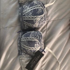 Heidi Klum Bra